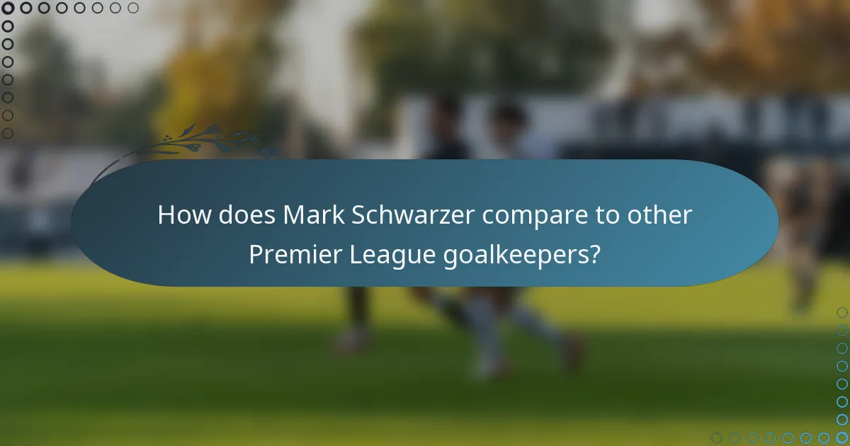 How does Mark Schwarzer compare to other Premier League goalkeepers?