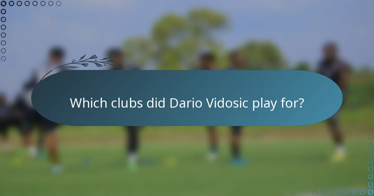 Which clubs did Dario Vidosic play for?